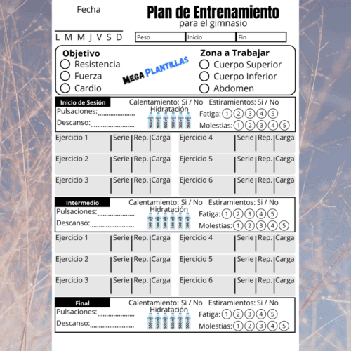 plan de entrenamiento 1 - IDP Plantilla Editable de Plan de Entrenamiento para Gimnasio en Canva con Registro Completo